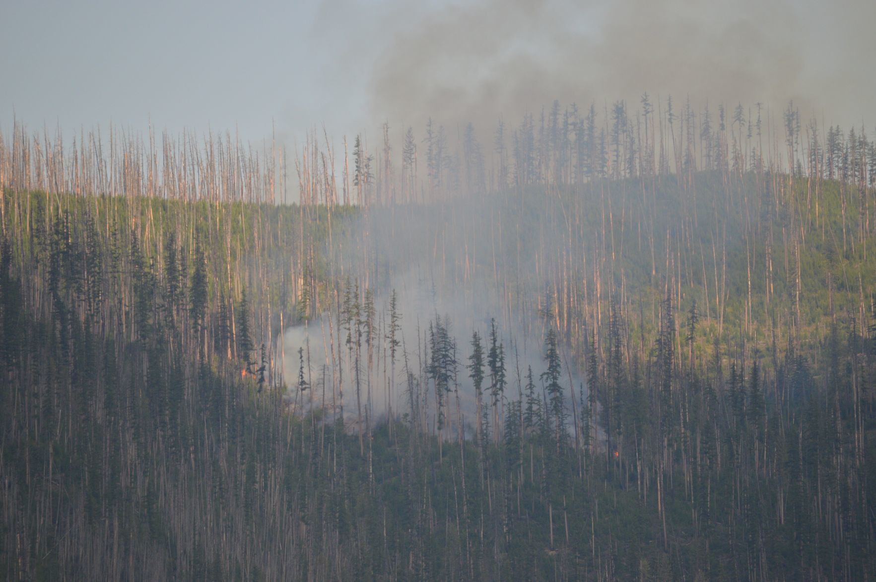 Howe Ridge fire